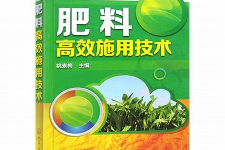 绿色增产秘籍：掌握蔬菜肥料施用的六看技术