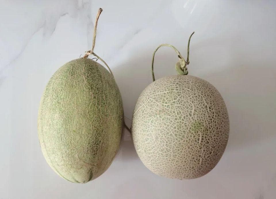 蜜瓜：一种既解渴又低热量的水果