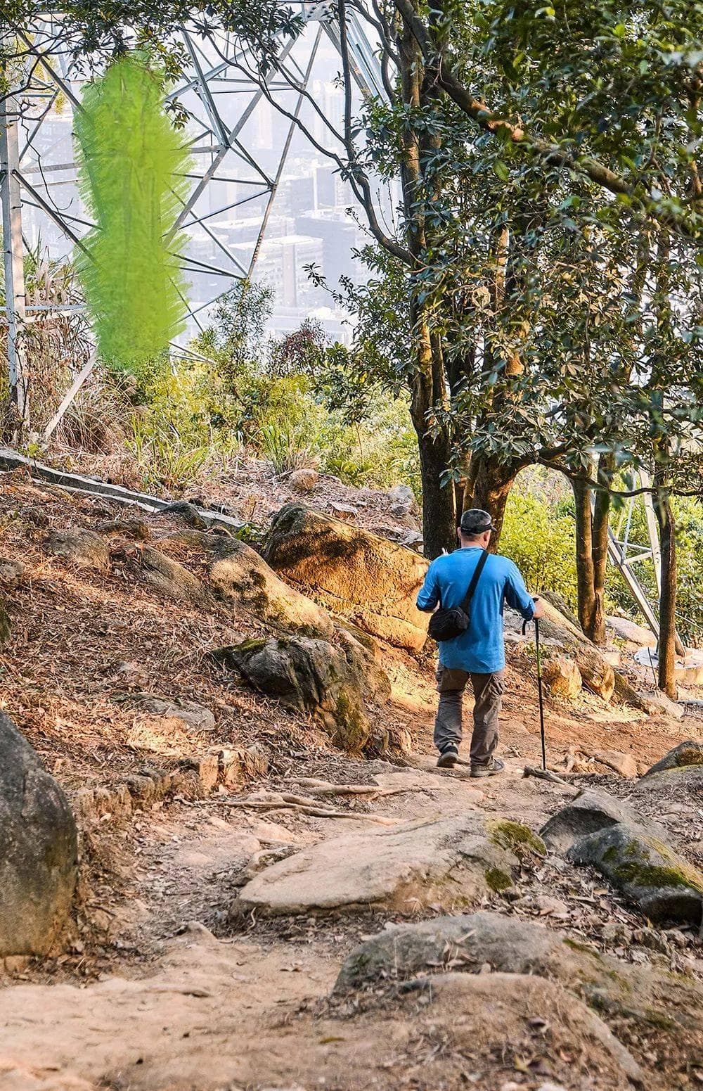 深圳首条手作步道开放，梅林山郊野径示范段正式迎客