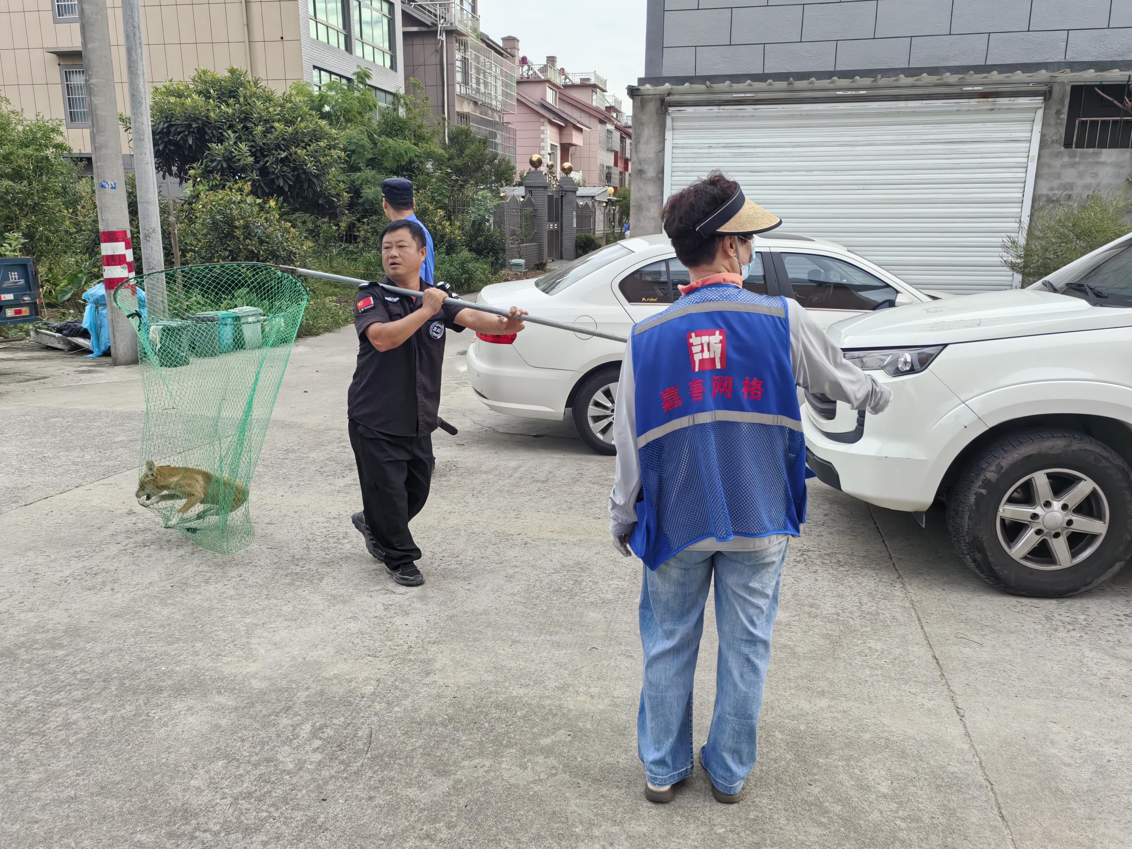 网格守护：除隐患，守平安