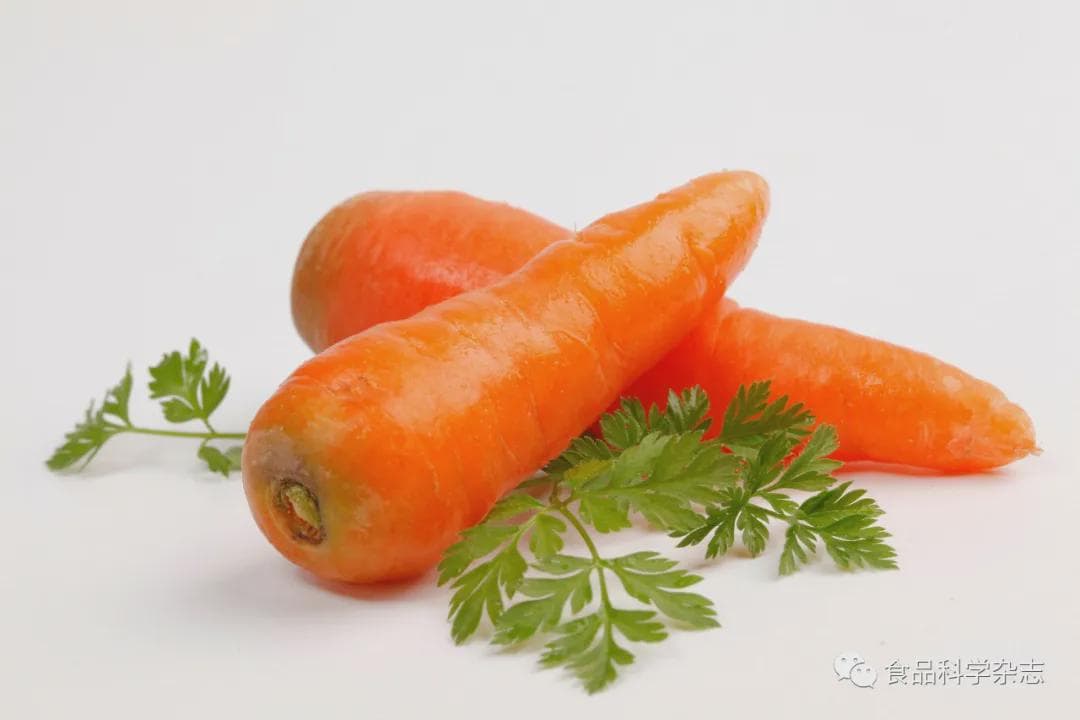 《食品科学》：南昌大学谢明勇院士等：不同加工方式下胡萝卜对小鼠溃疡性结肠炎的影响