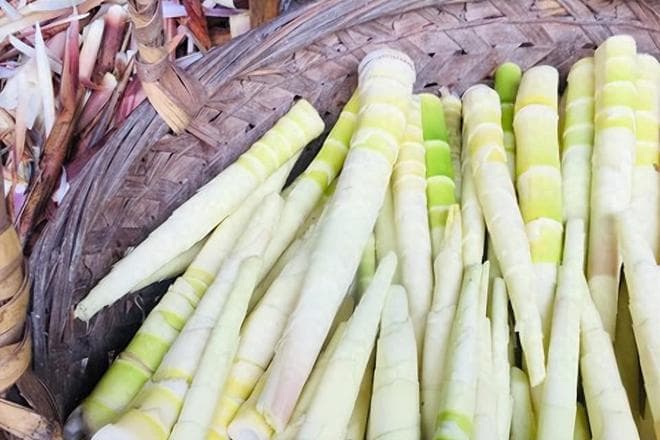 春季笋子哪里最好吃？经个人推荐，江西排第2，第1名实至名归，早知道