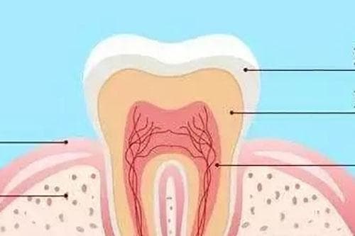 牙痛时该挂哪个科室？牙周科还是牙体牙髓科？