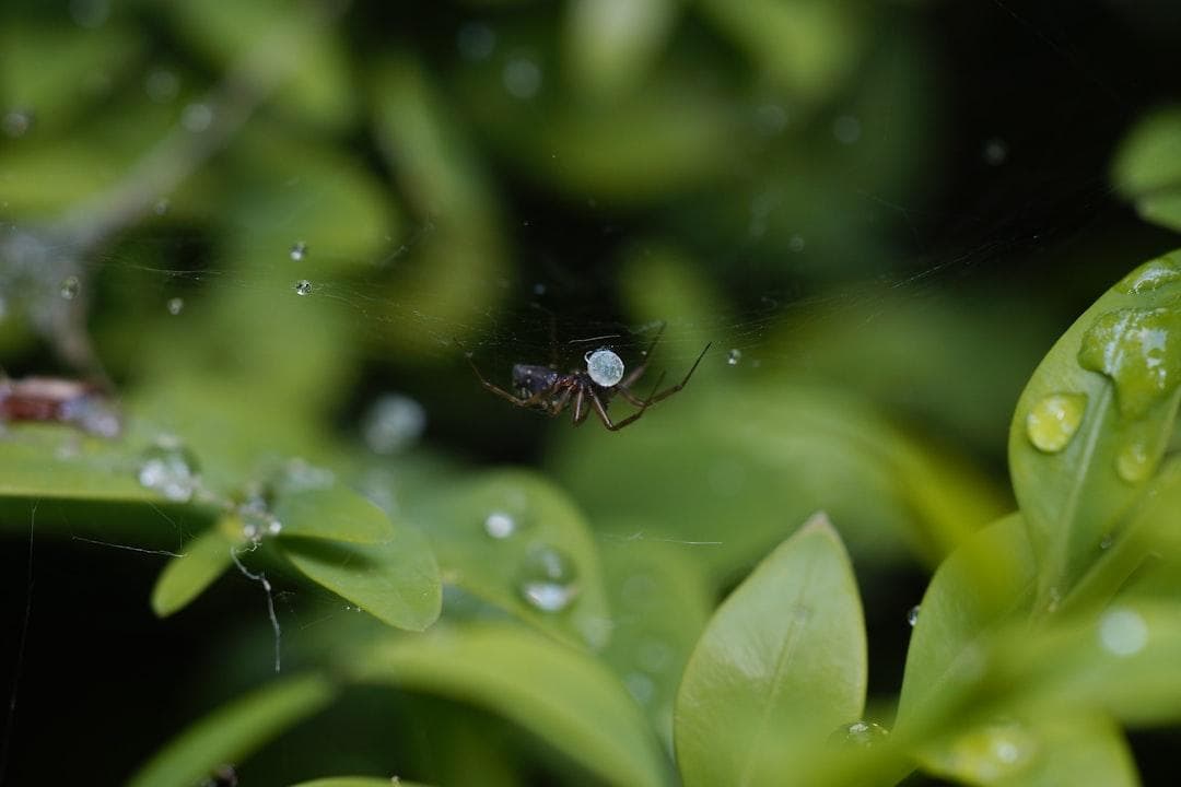 电解水清洁原理大公开！环保消毒的秘诀