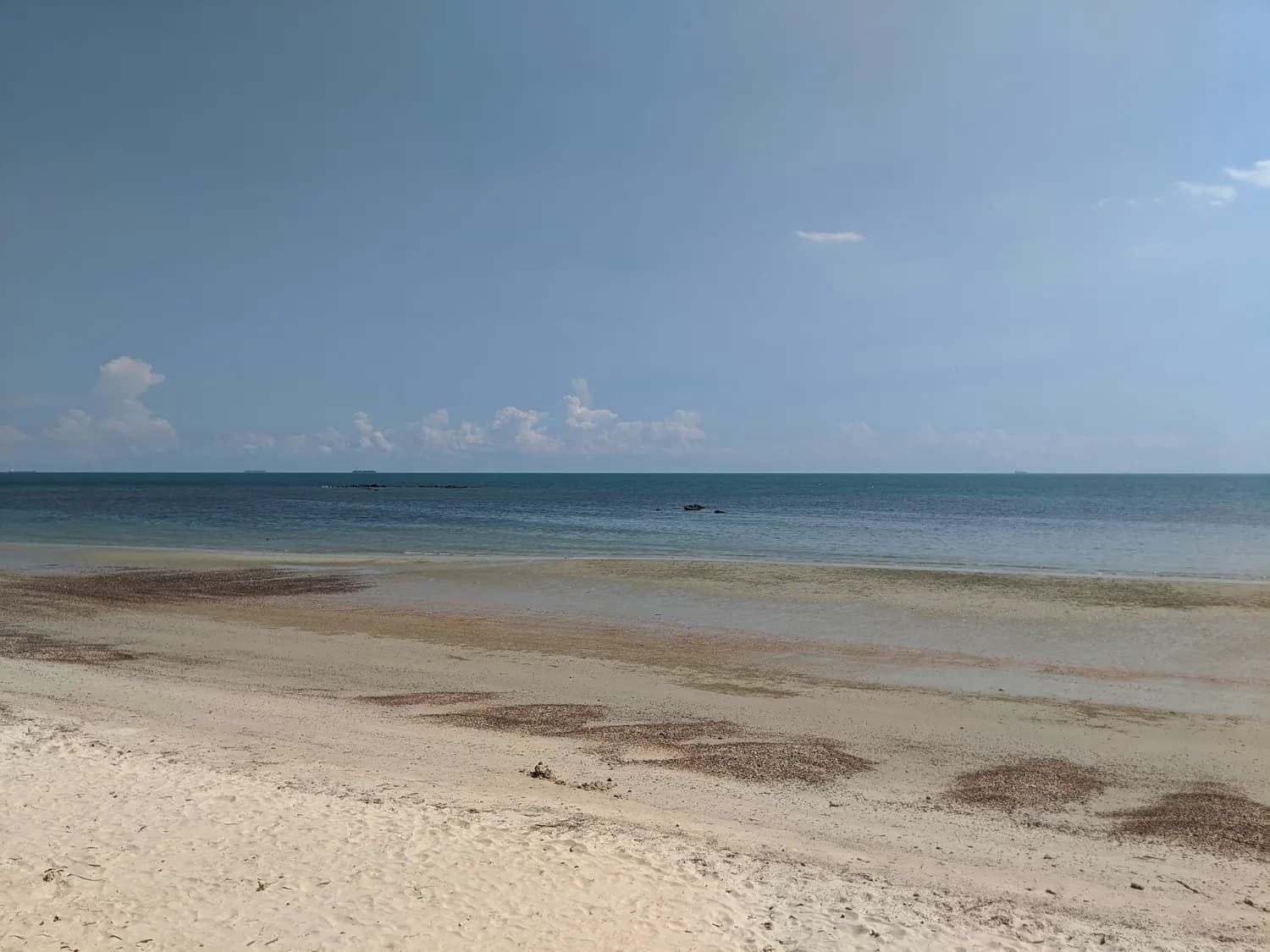 广西钦州：三娘湾看粉海豚，园博园赏四季花海