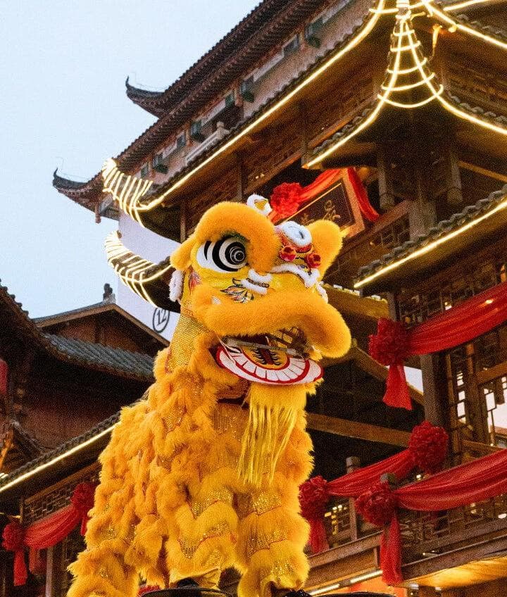 群狮欢腾、母狮生仔：临清舞狮的别样风采