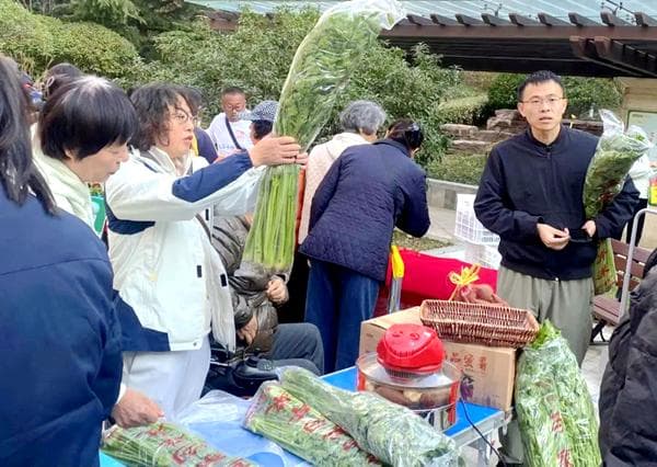 青岛平度：“菜篮子”工程带动农产品增值农民增收