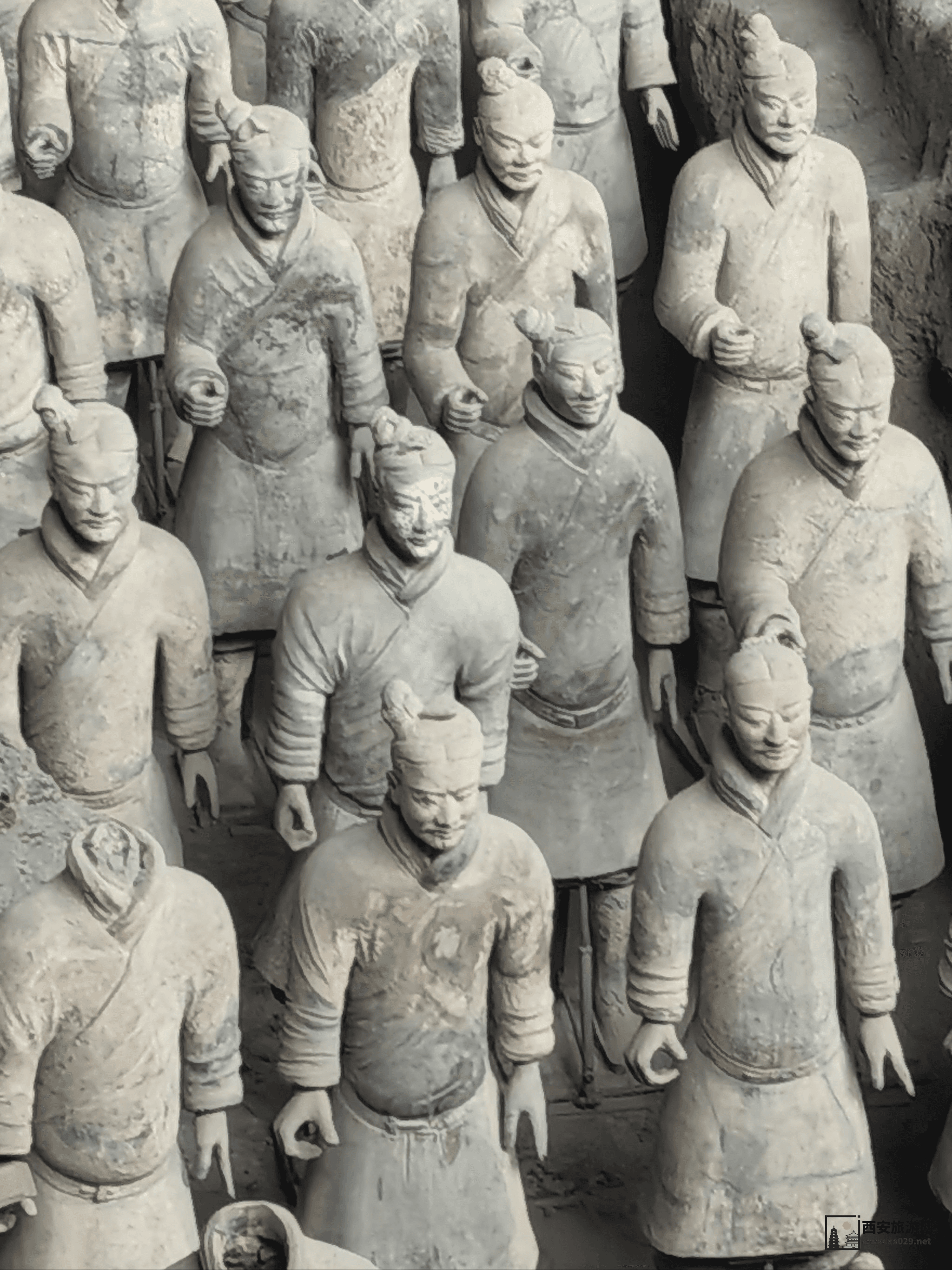 西安兵马俑老年人免门票吗