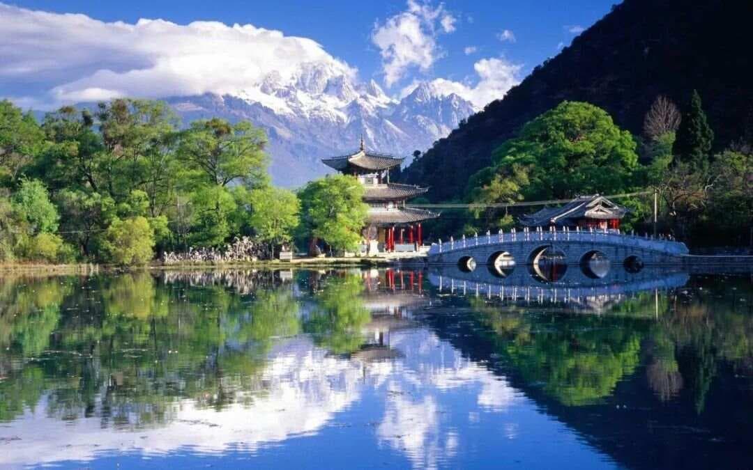 神奇舌诊，舌诊学的开山之作-敖氏伤寒金镜录