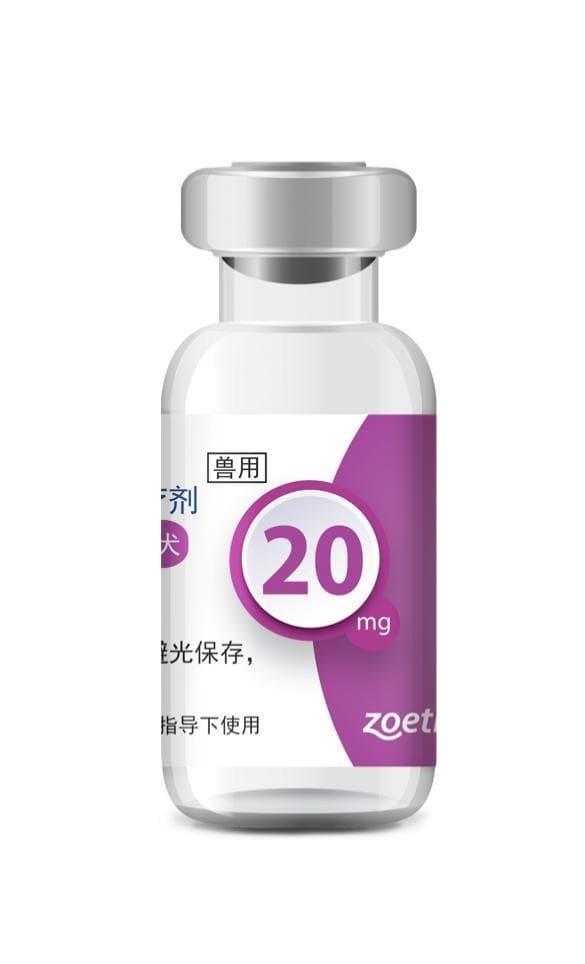 狗狗过敏性皮肤病防治指南：赛妥敏实现长效止痒