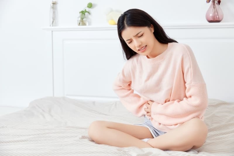 房间有鼠妇怎么处理，家居环境清洁与防治指南