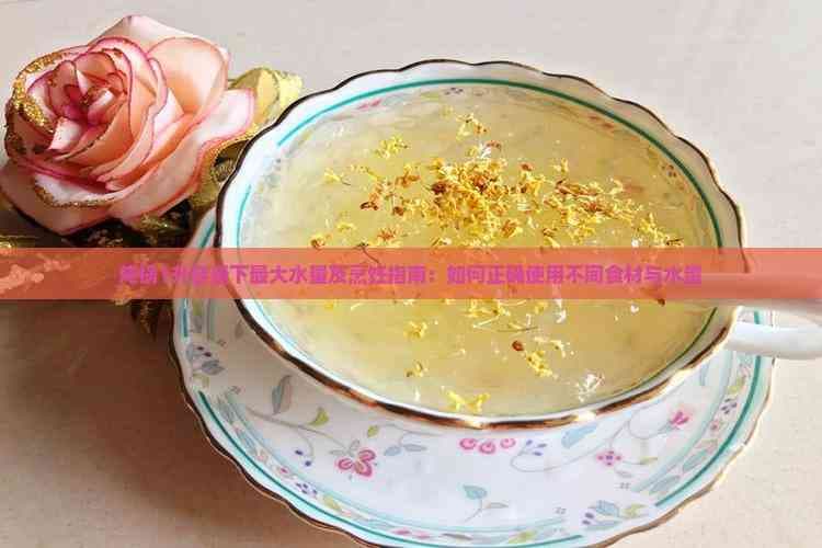 1升炖锅烹饪指南：食材与水量完美搭配