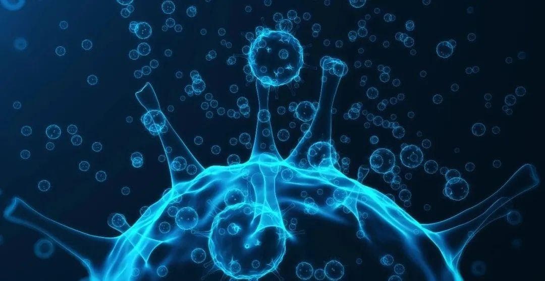 一年只需两针，HIV疗法获新突破！超10款新药正在中国开展临床研究