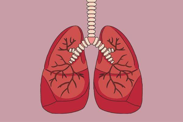 干咳少痰、潮热盗汗，肺气不足？秋季干燥，中医教你“养肺八法”