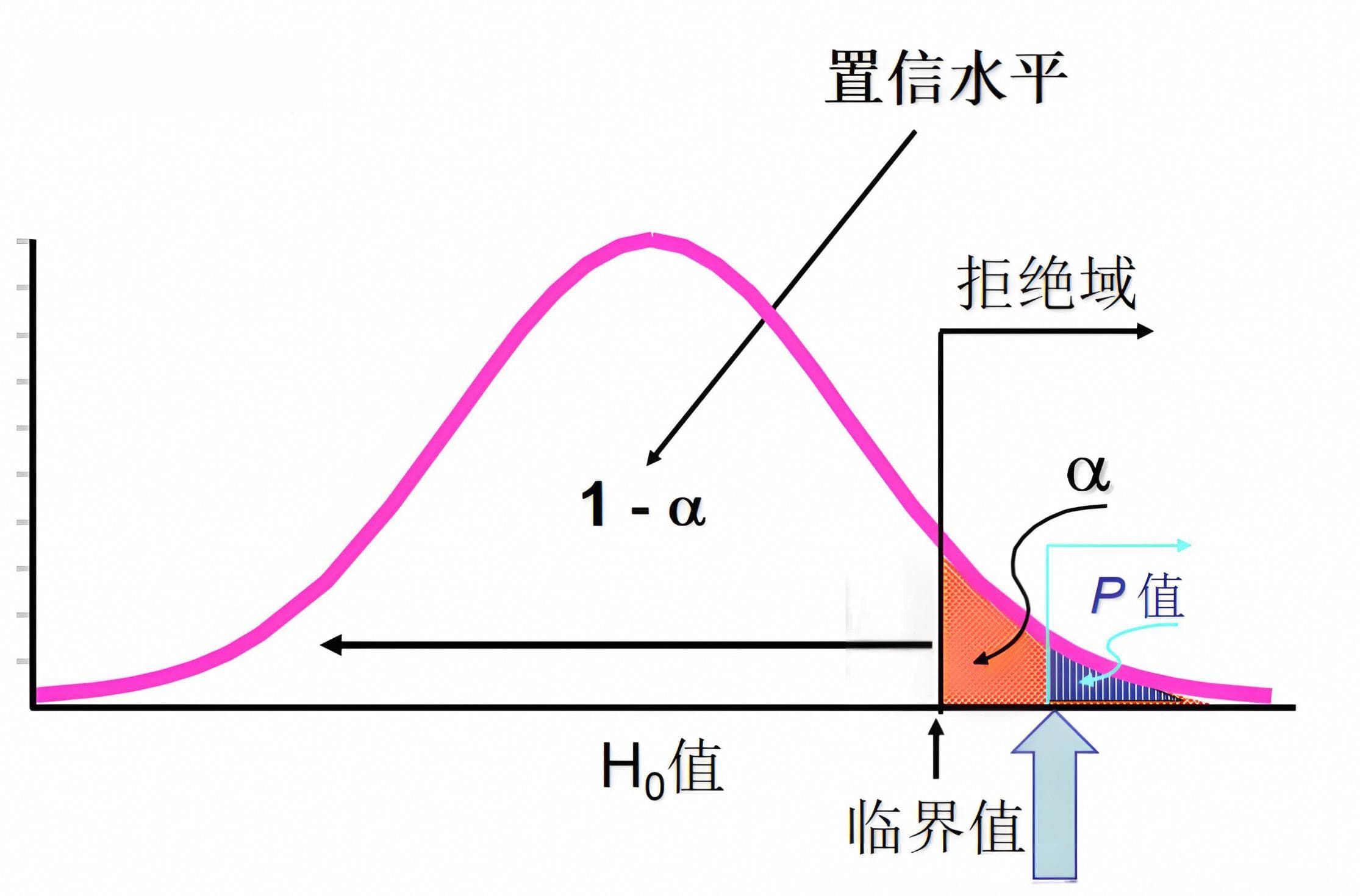 深入理解P值与置信度检验：概念、方法及实例解析