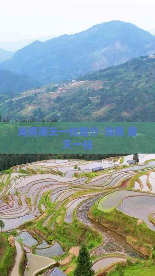 海南南天一柱：从神话传说走向现实的自然奇观