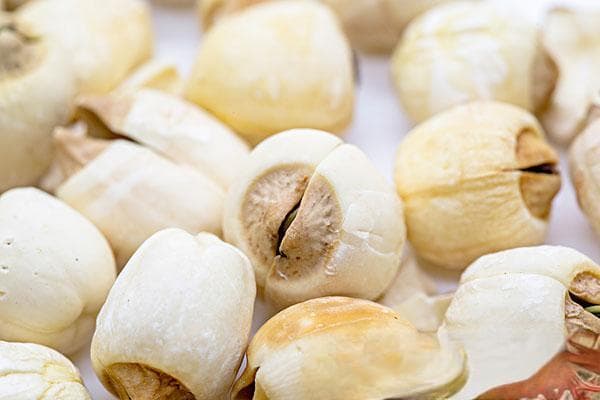 莲子怎样种植？都有哪些要点？
