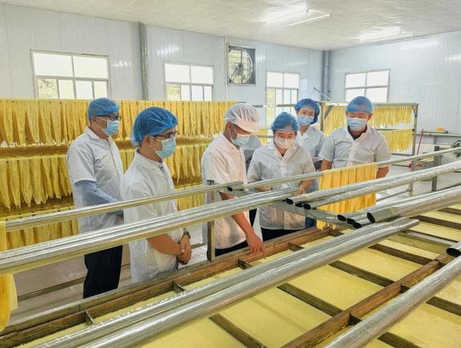 腐竹“智”变记：高校智囊团赋能腐竹产业升级