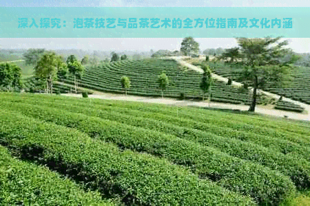 深入探究：泡茶技艺与品茶艺术的全方位指南及文化内涵