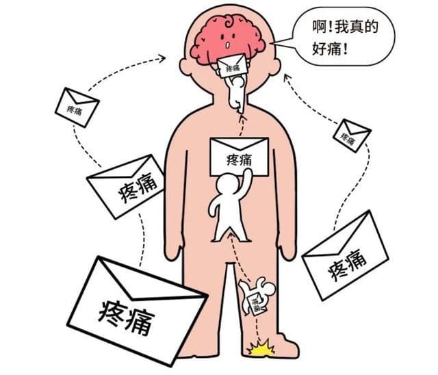 从部位到程度：疼痛描述六大要素，助力医生精准诊断