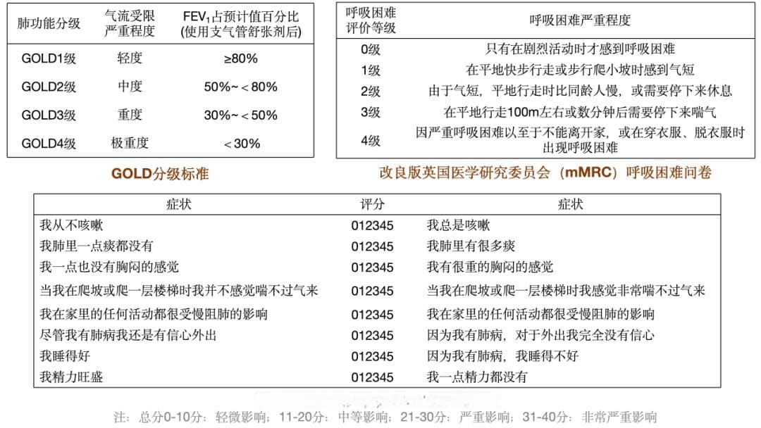 中国慢性阻塞性肺疾病基层诊疗与管理指南（2024年简略版）