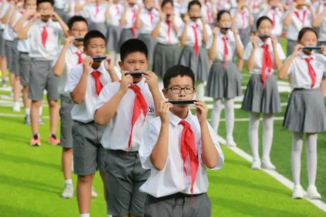 明星小学音乐美育课有特色，学生人人都会吹口琴