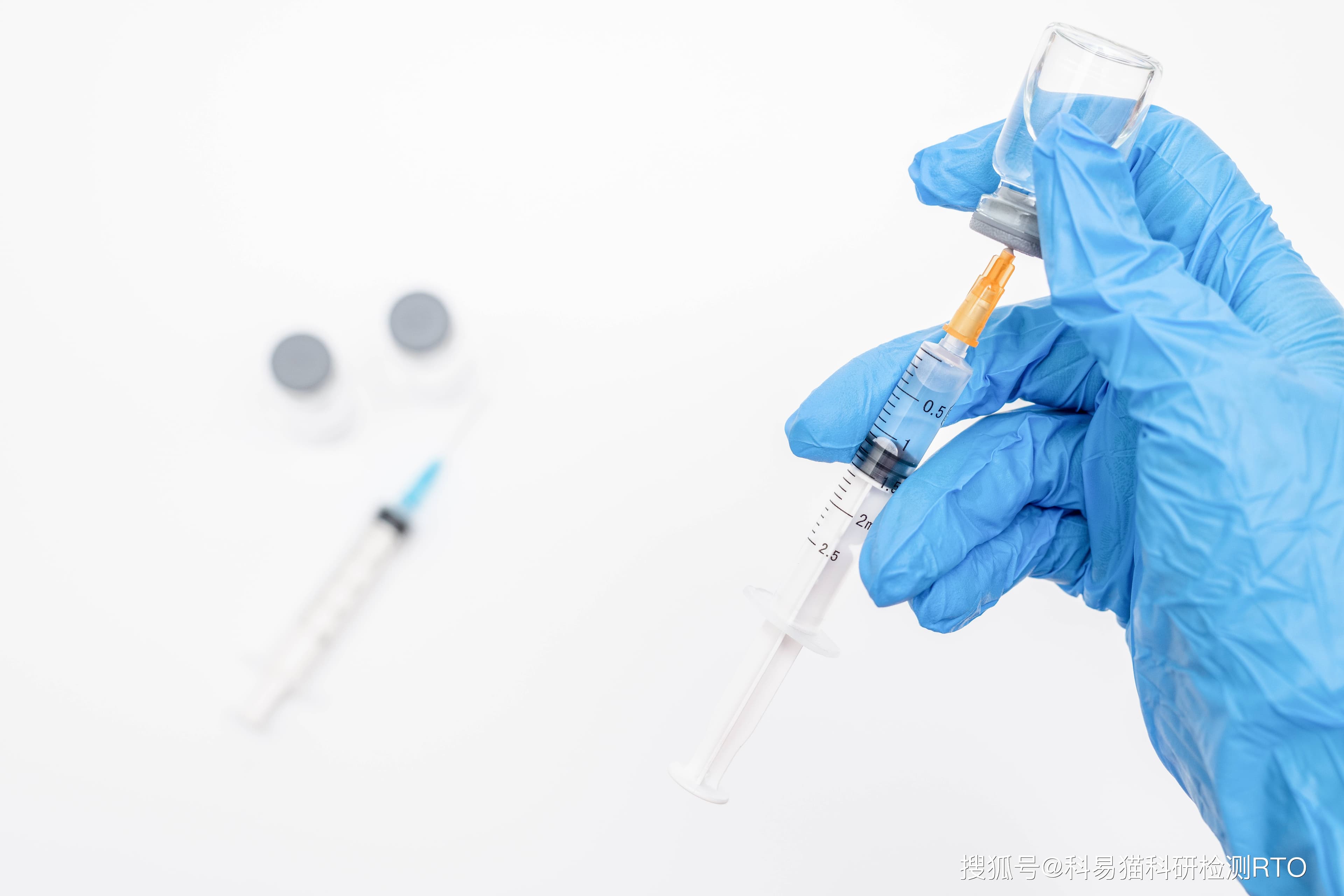 沙门氏菌检测的重要性与方法