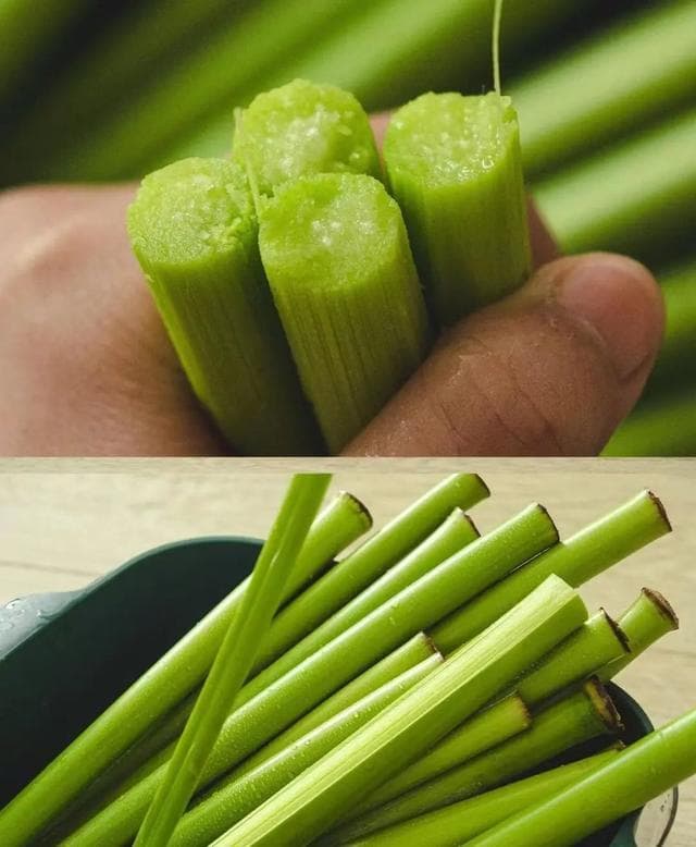 甜高粱走红吃播圈，专家提醒红芯部分含毒素