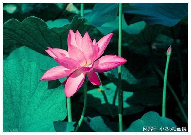 「禅宗智慧」如何掌控人生的方向，把握幸福人生而不是随波逐流？