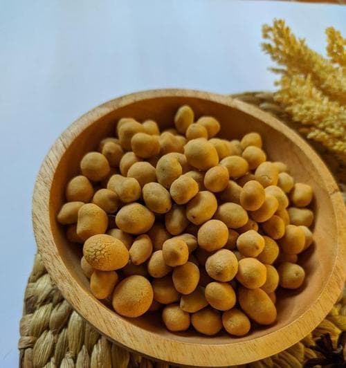 鹰嘴豆种植全攻略：从选种到收获的全过程详解