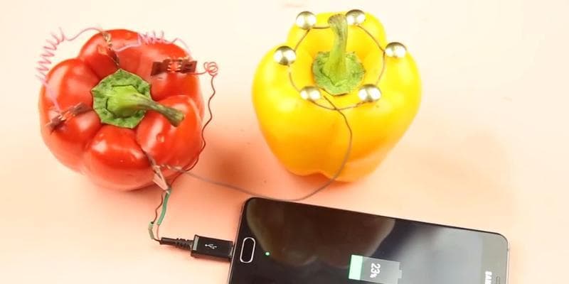 手机缓存清理方法大全：从系统工具到第三方应用，让手机重新焕发活力