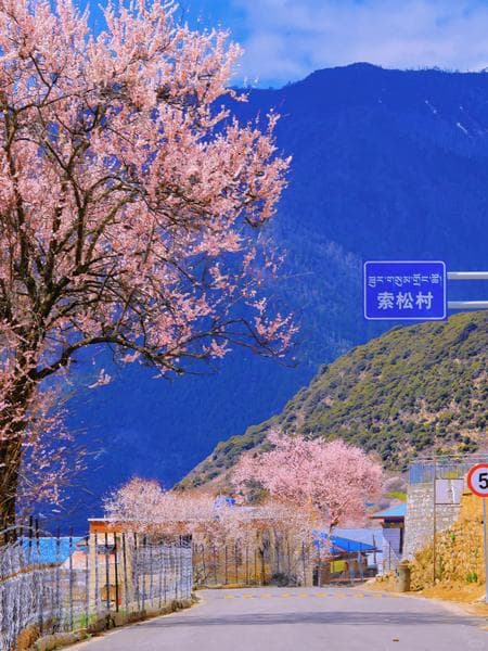 川藏公路318旅游季节推荐