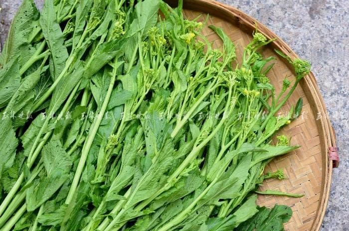 又辣又呛，劲道十足！玉林这道菜，一口就爱上