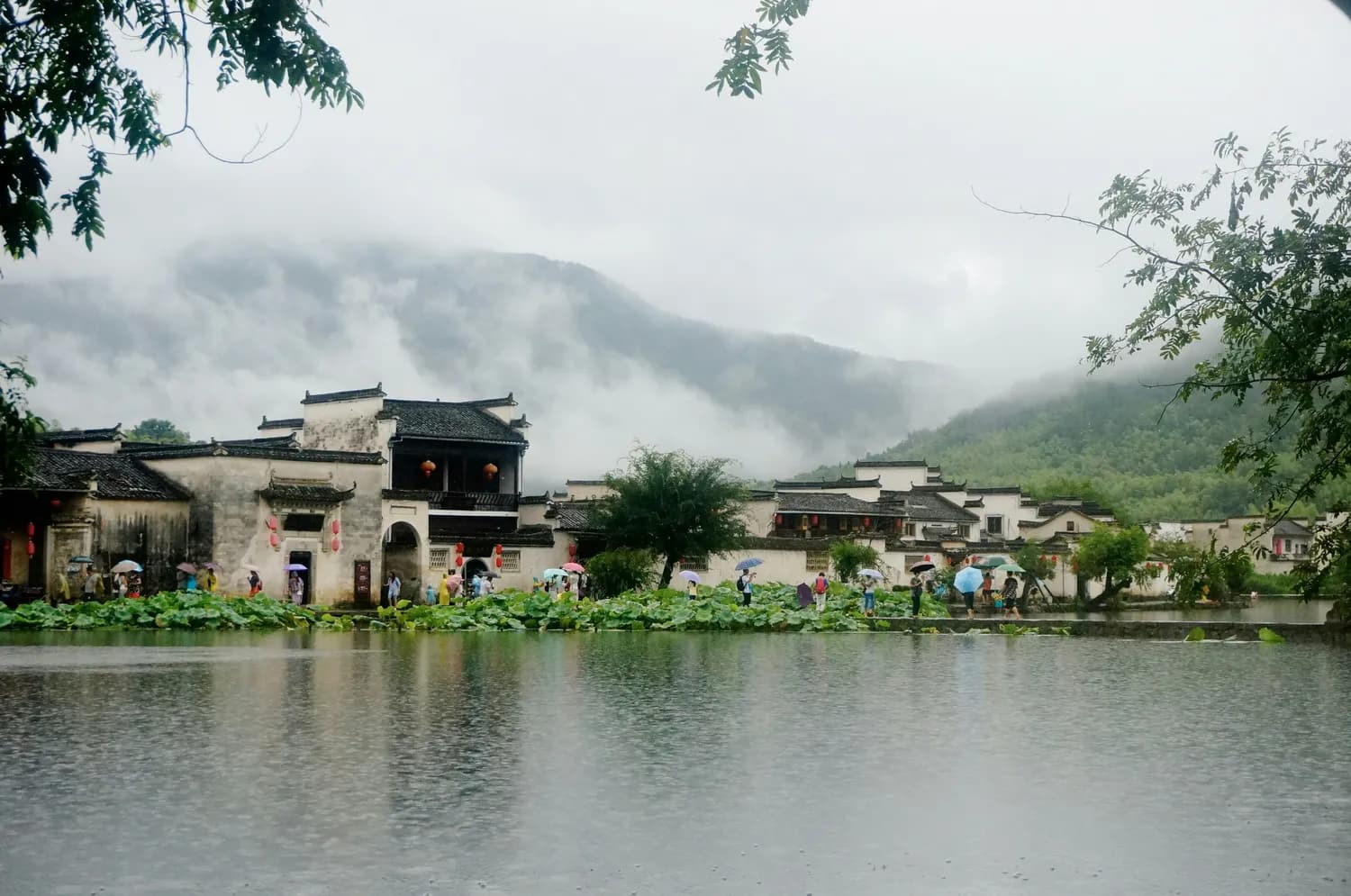 追剧打卡正当时！仙都、景星岩冬游全攻略