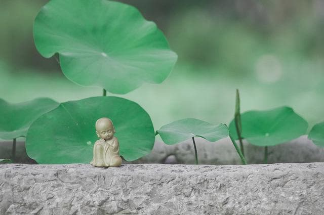 风拂幽篁影自闲，心悟禅机境无边：小众禅语诗词探赏