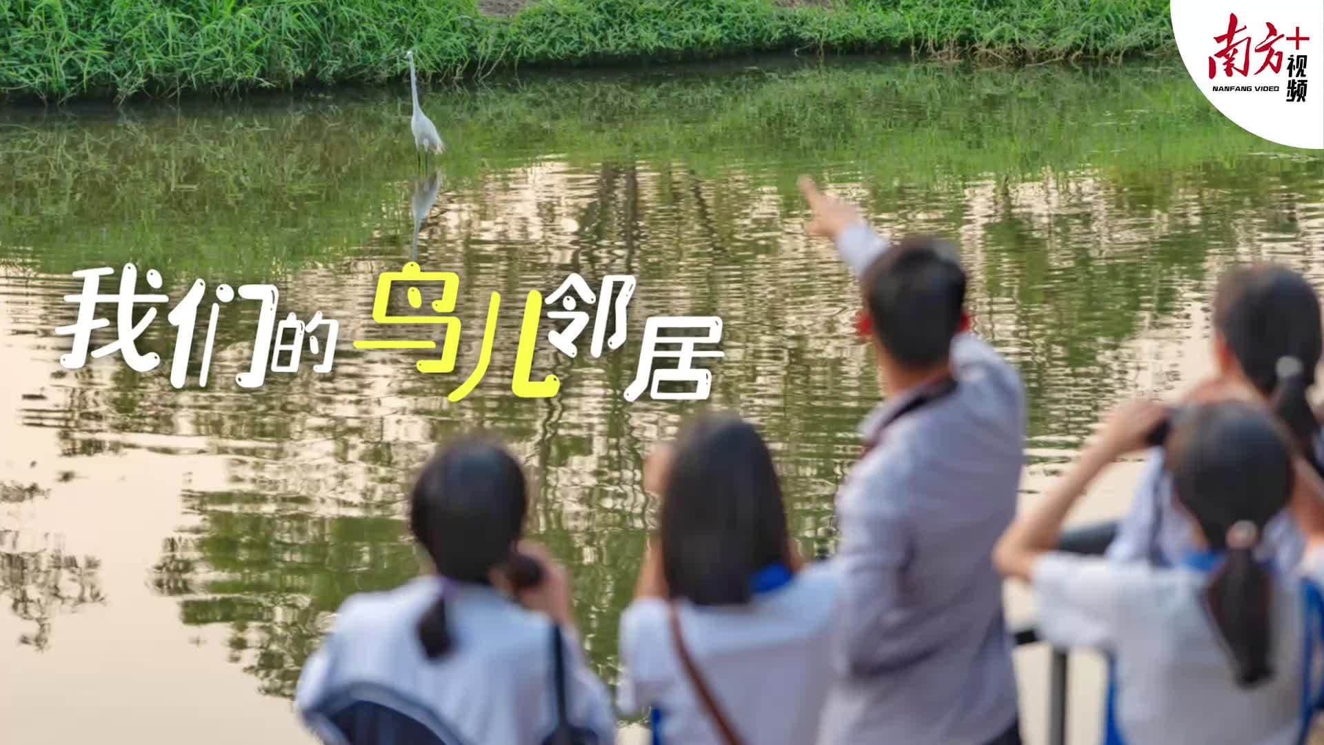 他们追逐飞鸟，记录广东生态之美