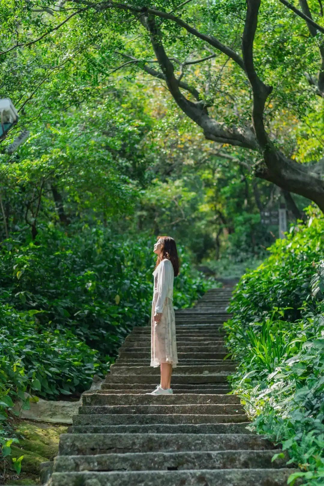 初秋最值得爬的6座山，都在这！南海登高地图→