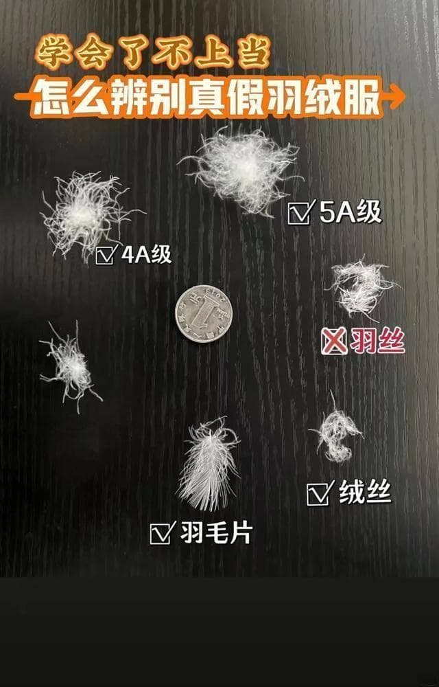 选购羽绒服看这3个指标：绒子含量、充绒量和蓬松度