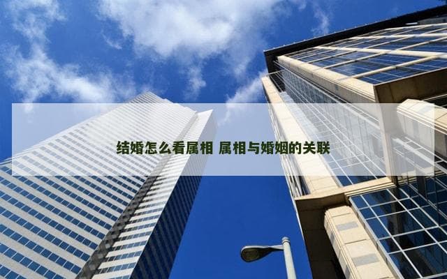 结婚怎么看属相？属相与婚姻的关联