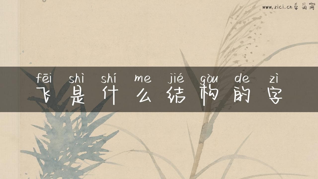 飞是什么结构的字：探秘汉字的独特魅力