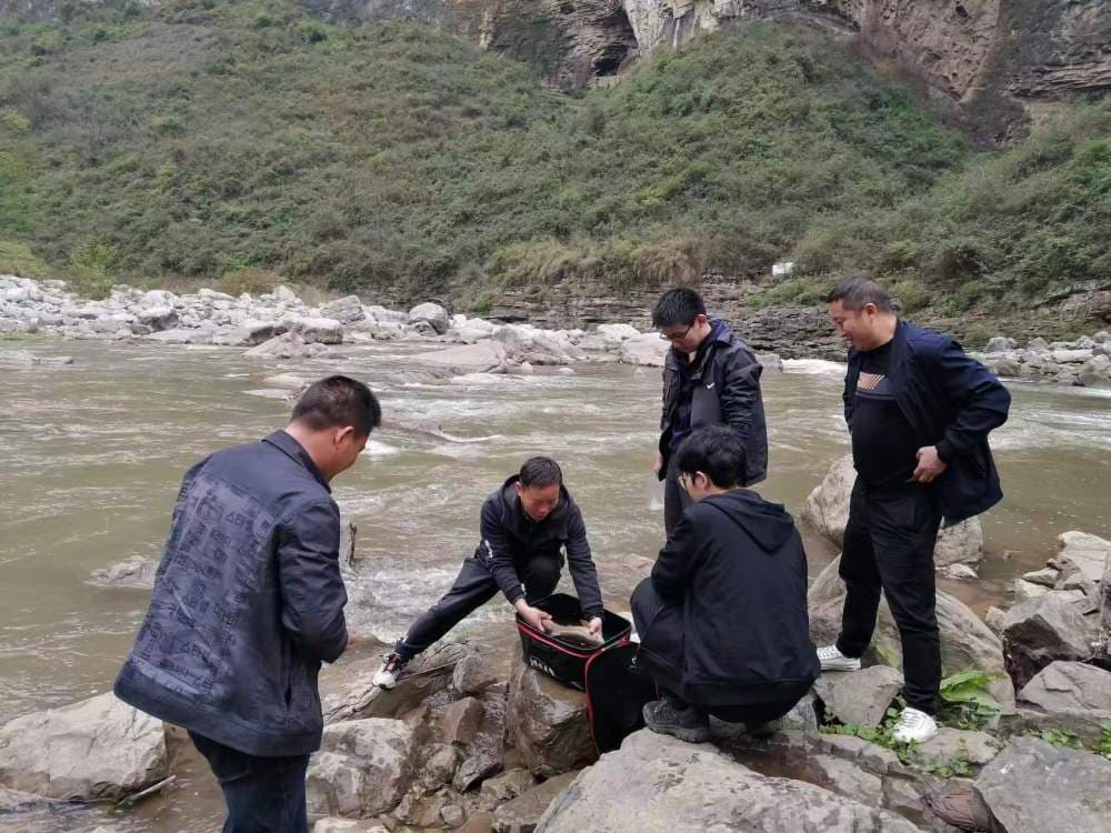 赤水河：长江流域生态保护的样本