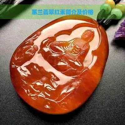 蕙兰翡翠红素简介及价格