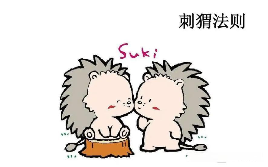 用好“刺猬法则”，提升教学效率