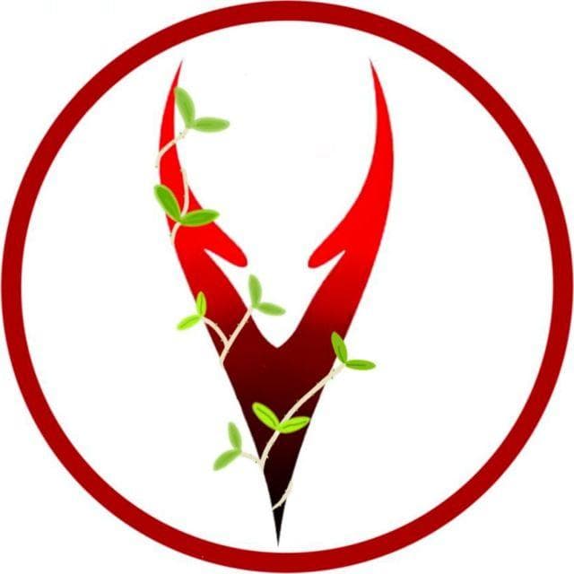 IDEA社区版够用吗？一文详解社区版与企业版功能差异