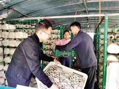 越来越多登封土特产 出村进城变礼品