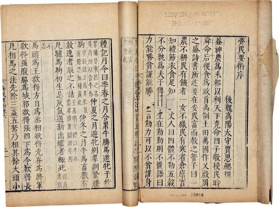 从“下水”到珍馐：肥肠在中国餐桌上的逆袭之路