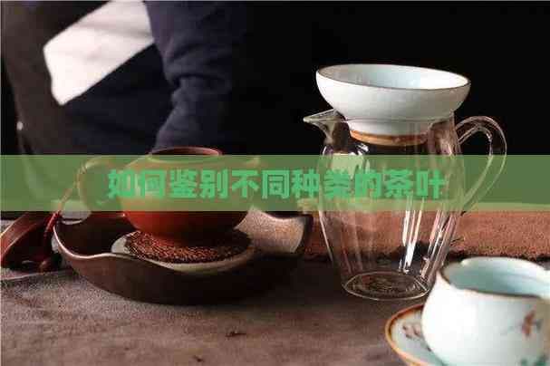 茶叶鉴赏指南：从外观特征快速识别各类茶叶