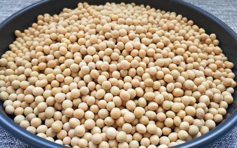 存放黄豆要注意：防潮防霉是关键，三种方法保新鲜