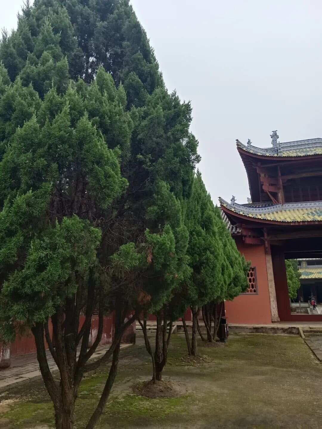 禅宗临济义玄禅师心法精要及其实修指导