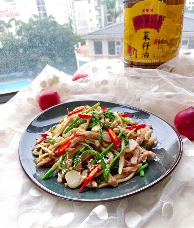 双丝盘龙须菜